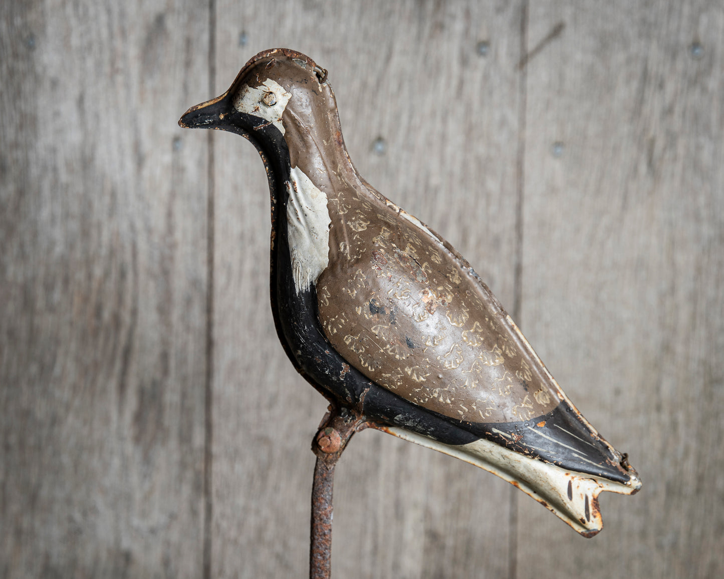 Nineteenth century toleware plover decoy