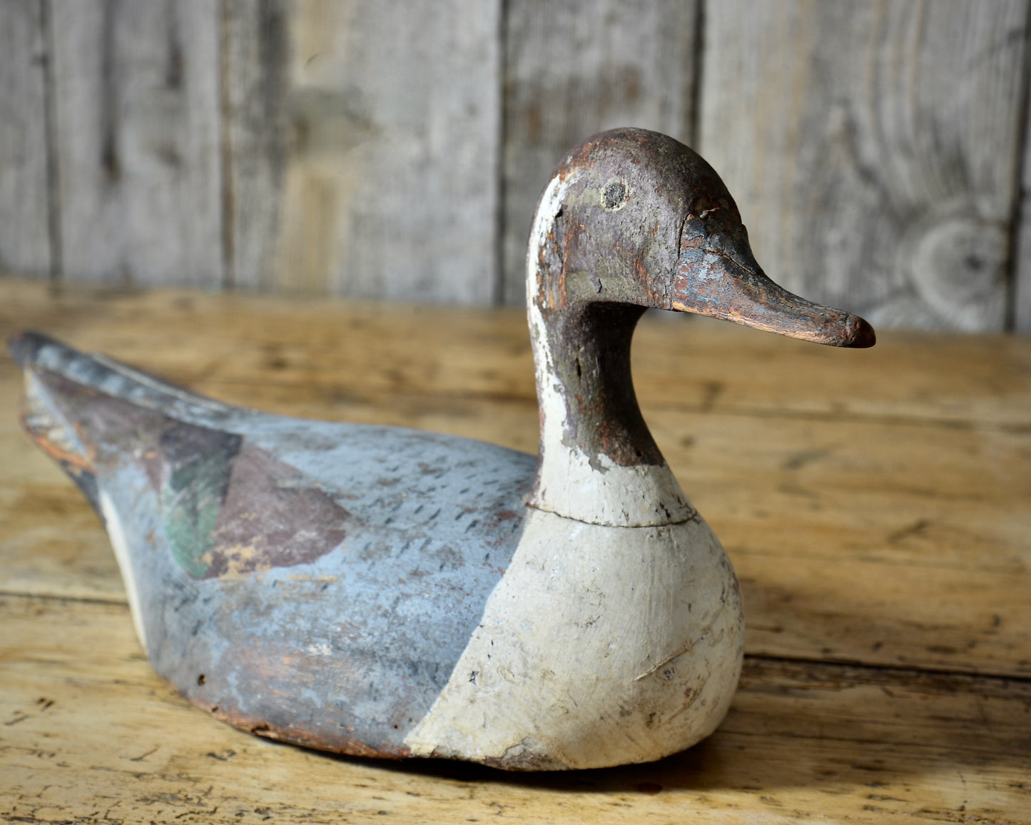 19th century polychrome decoy of a drake Pintail.