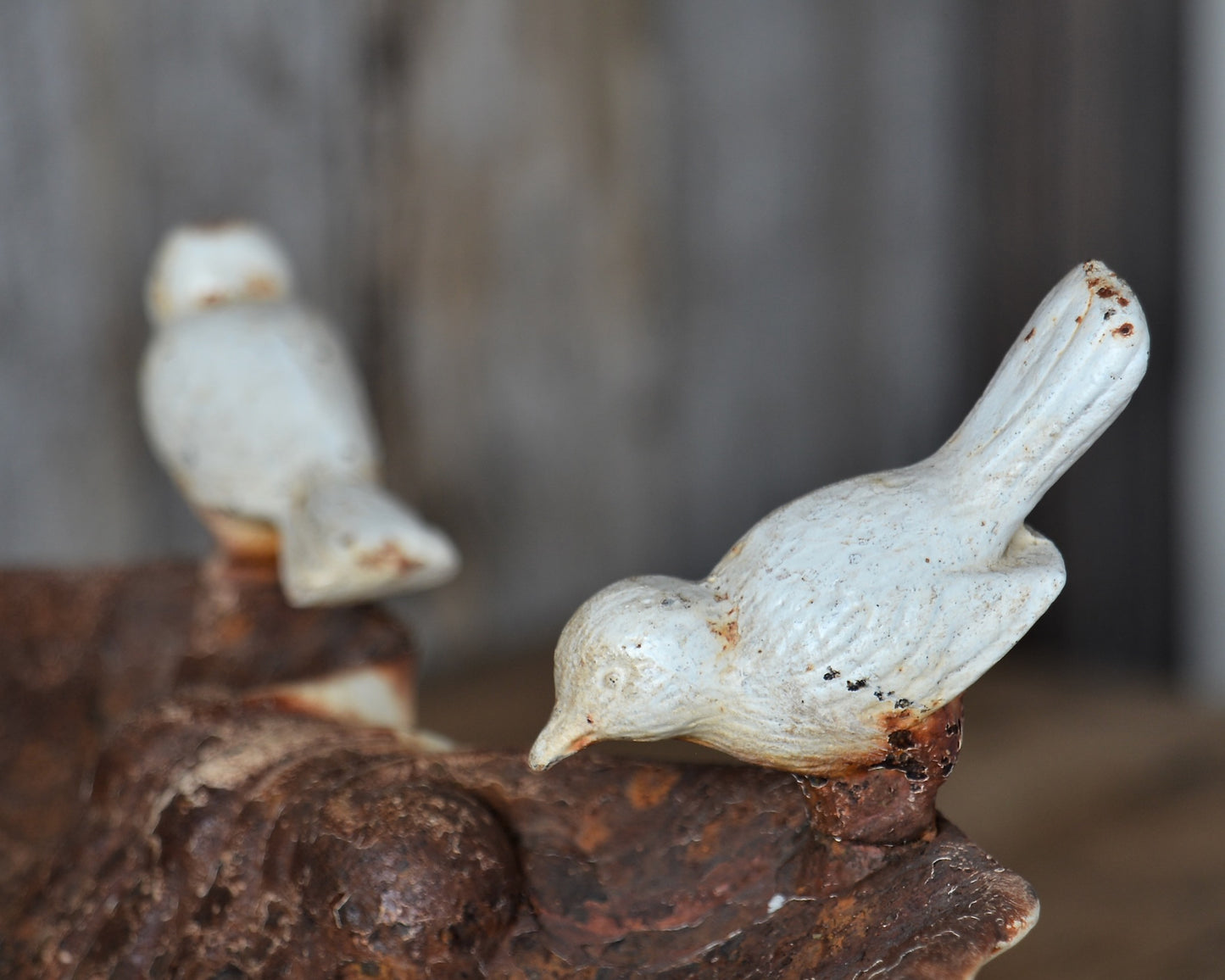 Vintage cast iron bird bath.